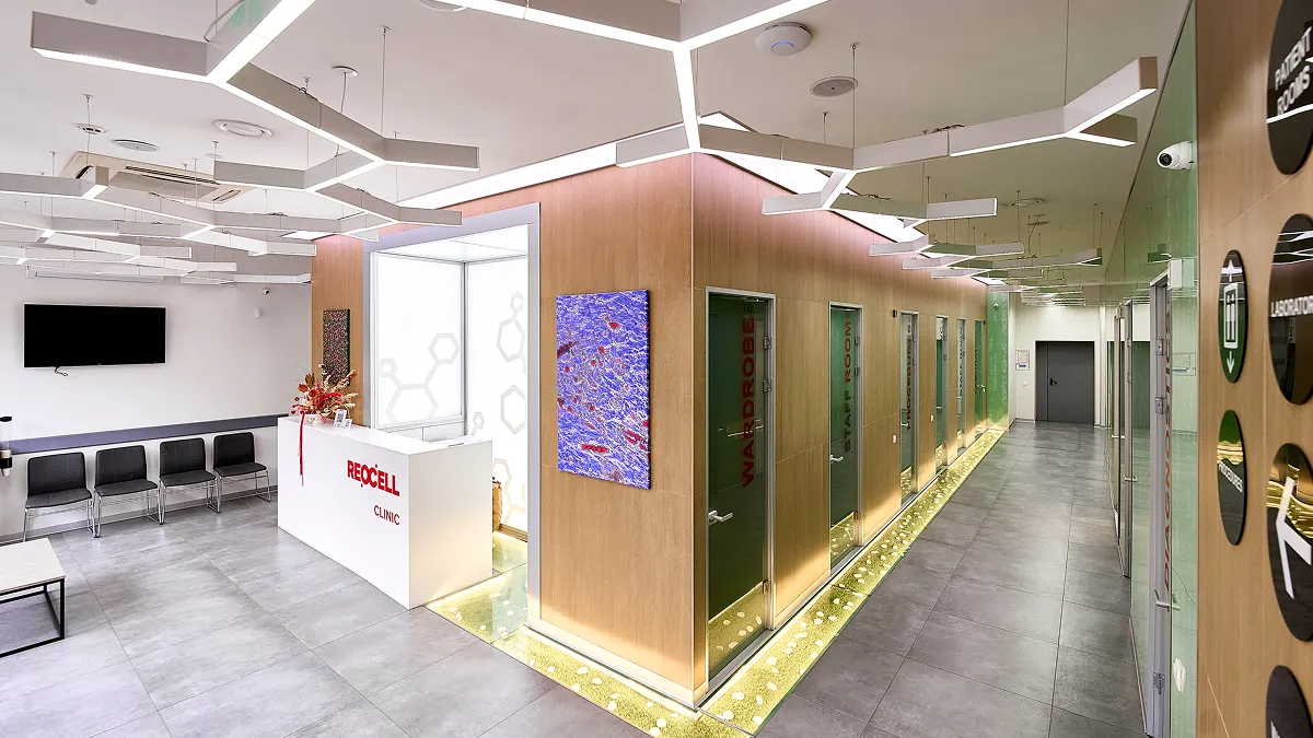 building of ReoCell