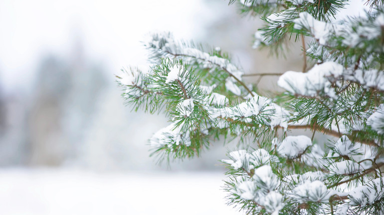 Якою буде погода у січні? Прогноз на місяць