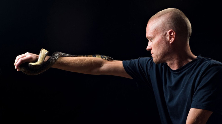 Scientists have created antidote from snakes based on human blood