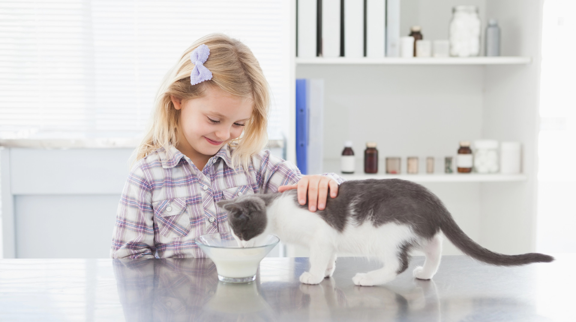 Мам, давай заведемо котика: як зрозуміти, чи дитина готова до улюбленця