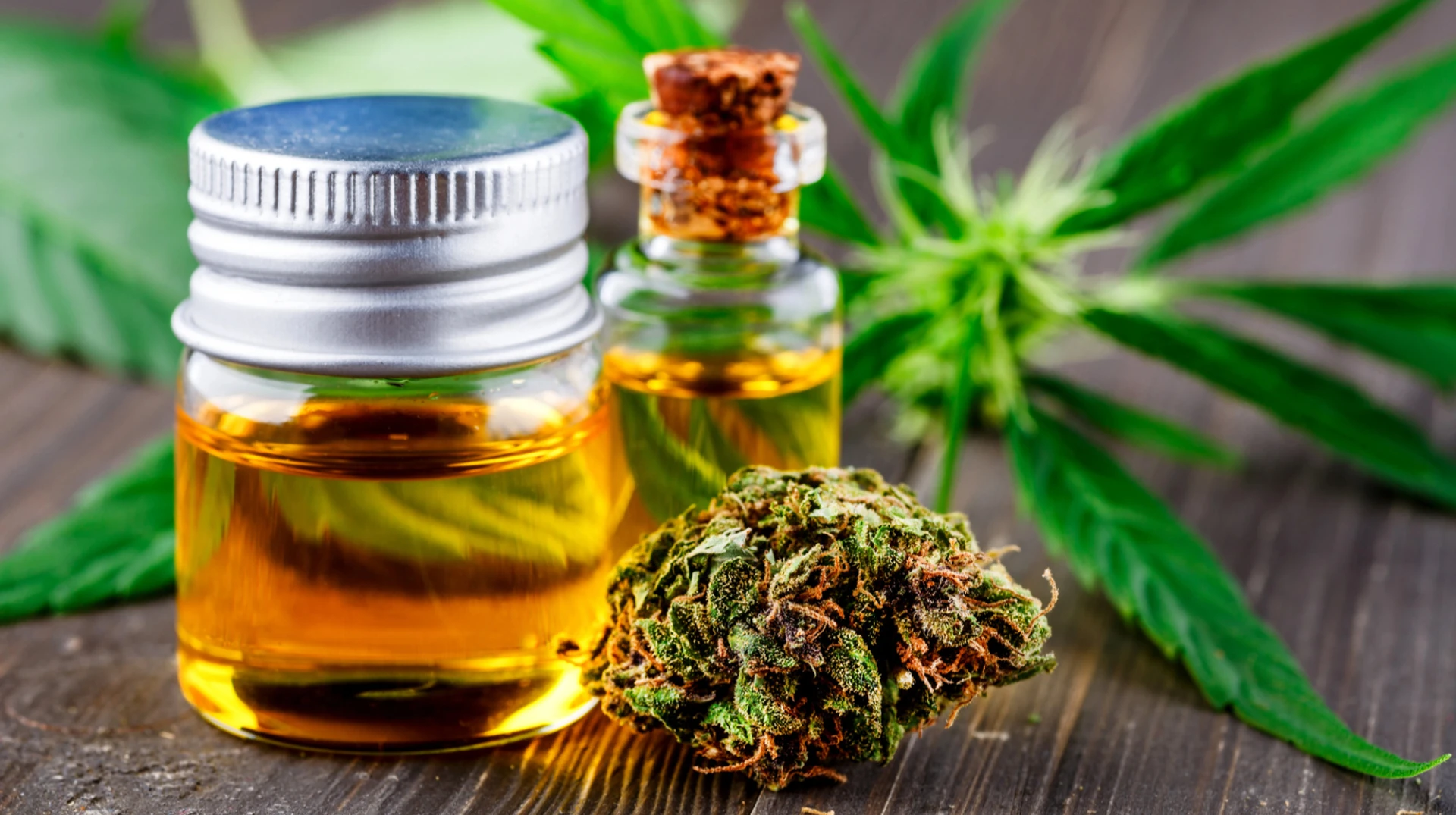 Медичний канабіс: що насправді сталося у березні 2026 року