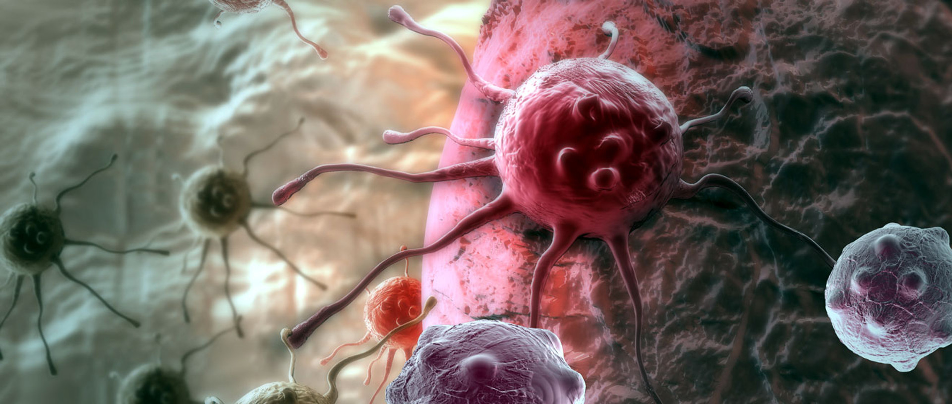 Щоб з раком боровся сам імунітет. Вчені пояснюють Нобель-2018 у медицині