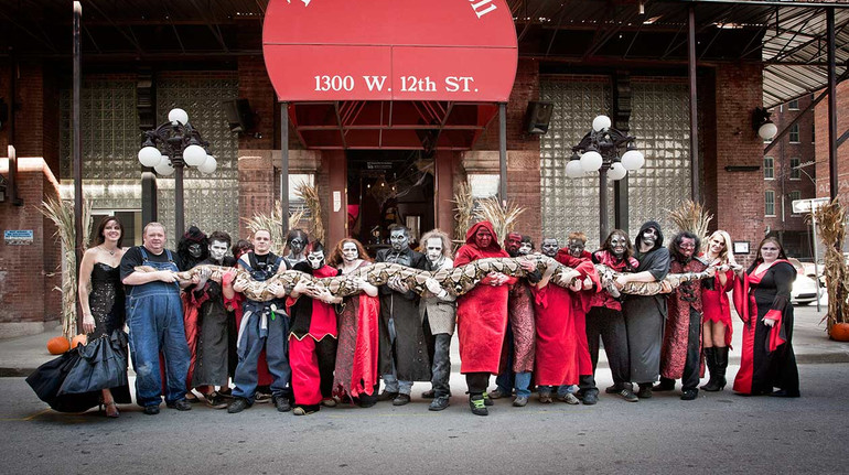 У США проживає найбільший пітон у світі: скільки він сягає завдовшки