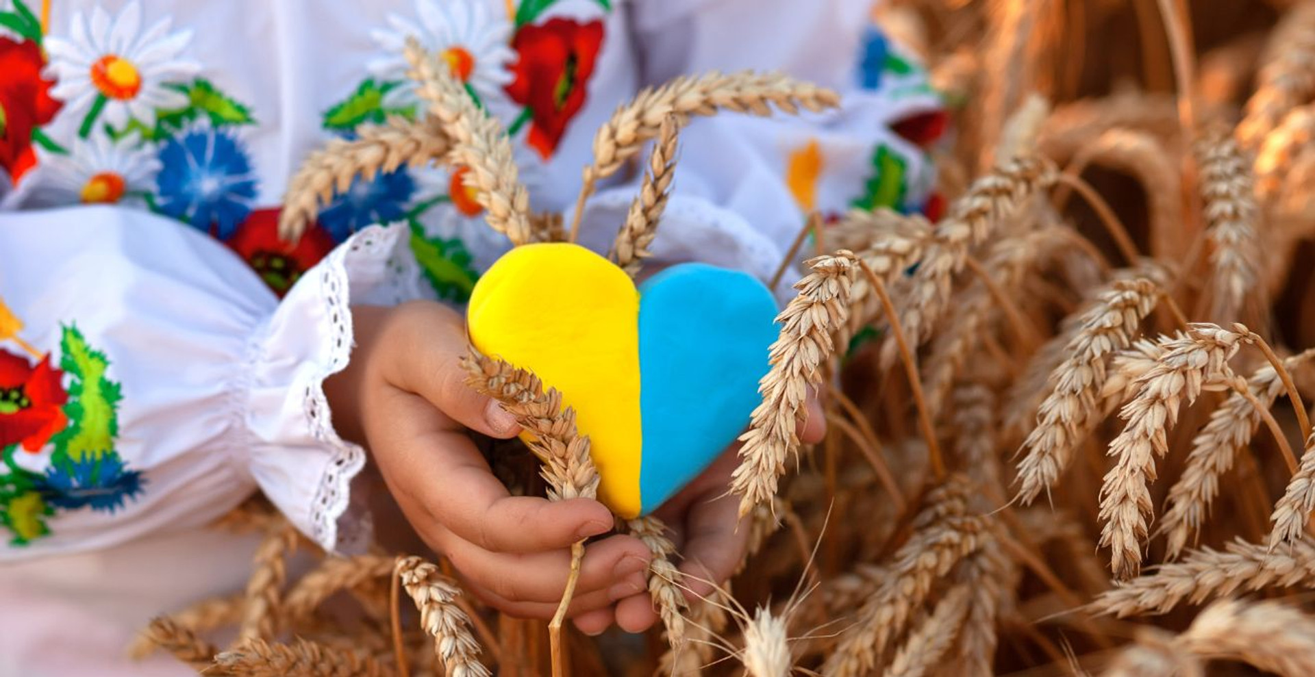 Чим багатіє дурень? Перевірте, як добре ви розумієтеся на українських приказках. ТЕСТ