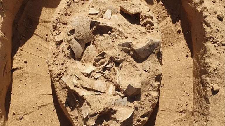 В Ізраїлі виявили 7000-річну страву зі страусиних яєць