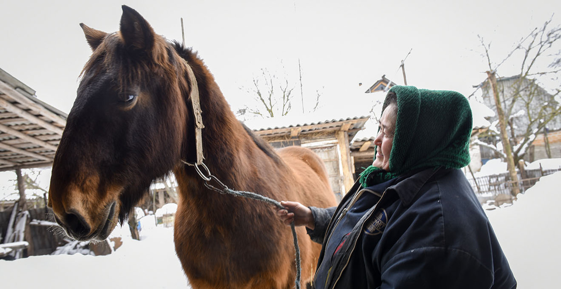Без коня ти просто селянин, з конем – хазяїн: репортаж з унікального села на Чернігівщині