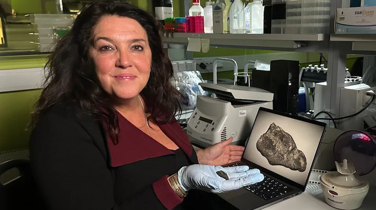 В Естонії знайшли жуйку віком понад 10 тисяч років: ДНК показує, що її жувала підлітка