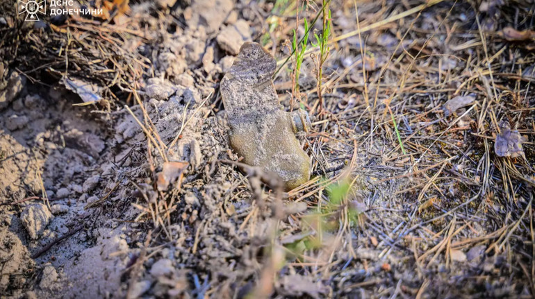 На Харківщині 49-річний чоловік під час косіння трави підірвався на протипіхотній міні