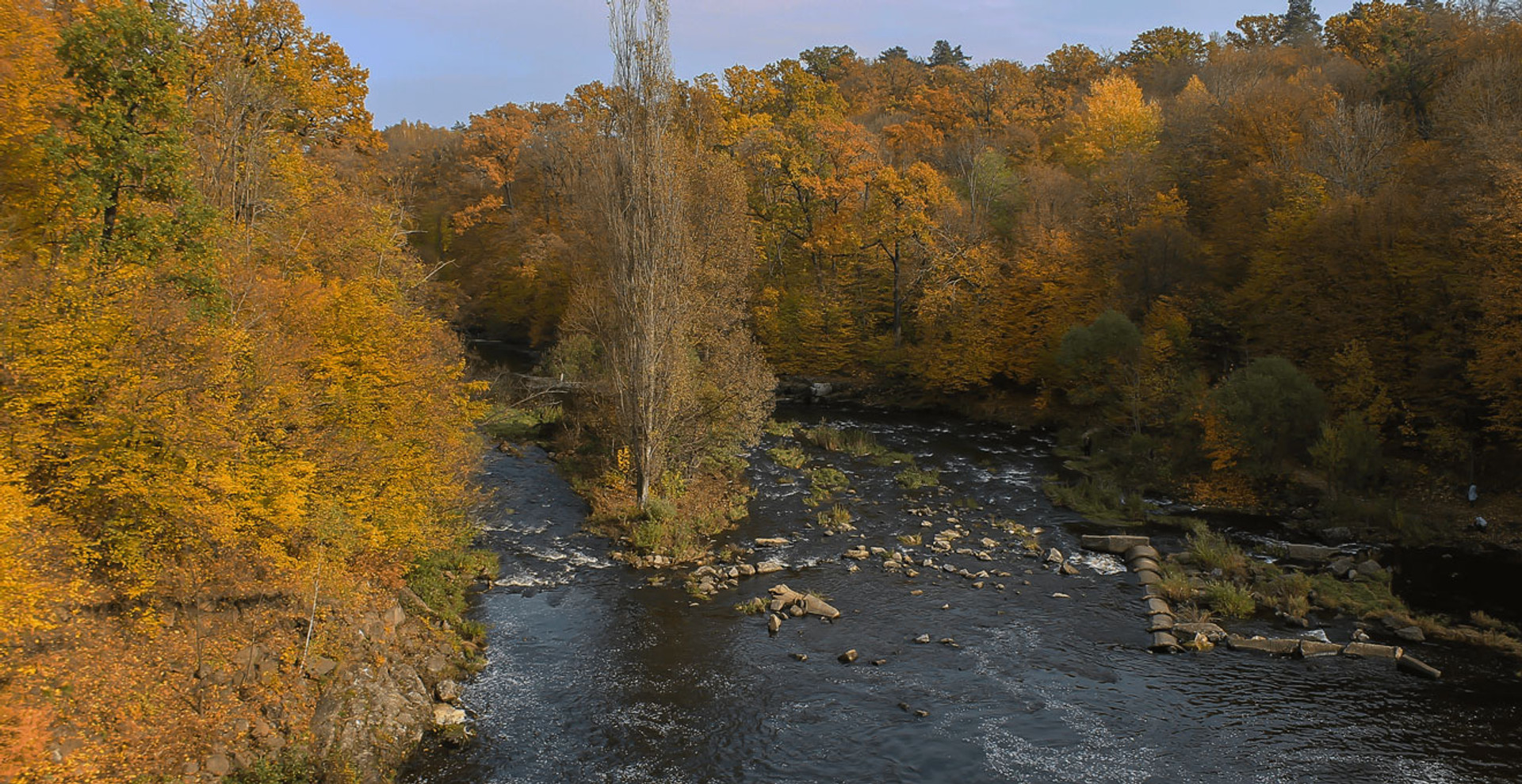 Де зловити дзен і побачити золоту осінь? Топ-19 локацій у лісах України