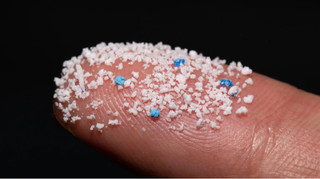 Чи справді в людському організмі так багато мікропластику: вчені піддали сумніву дослідження