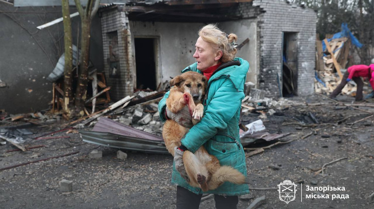 Жахливий терор: РФ атакувала притулок для собак у Запоріжжі, є загиблі та поранені тварини