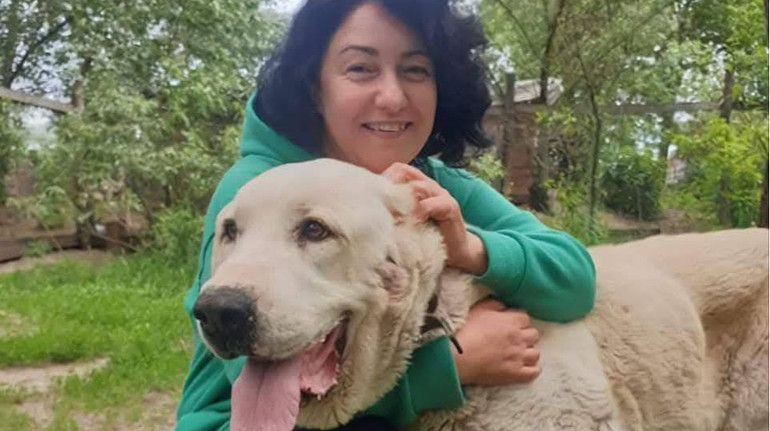 Знищують заклад: керівниця притулку на Київщині відповіла на закиди в недогляді за тваринами