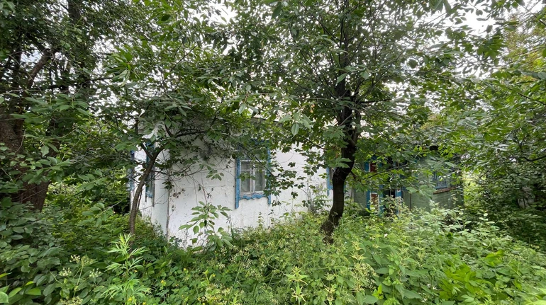 В Україні запускають проєкт із відновлення традиційних сільських хат