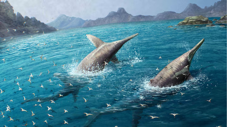 Належать рептилії, яка жила 200 млн років тому: вчені дослідили скам’янілості з англійського пляжу
