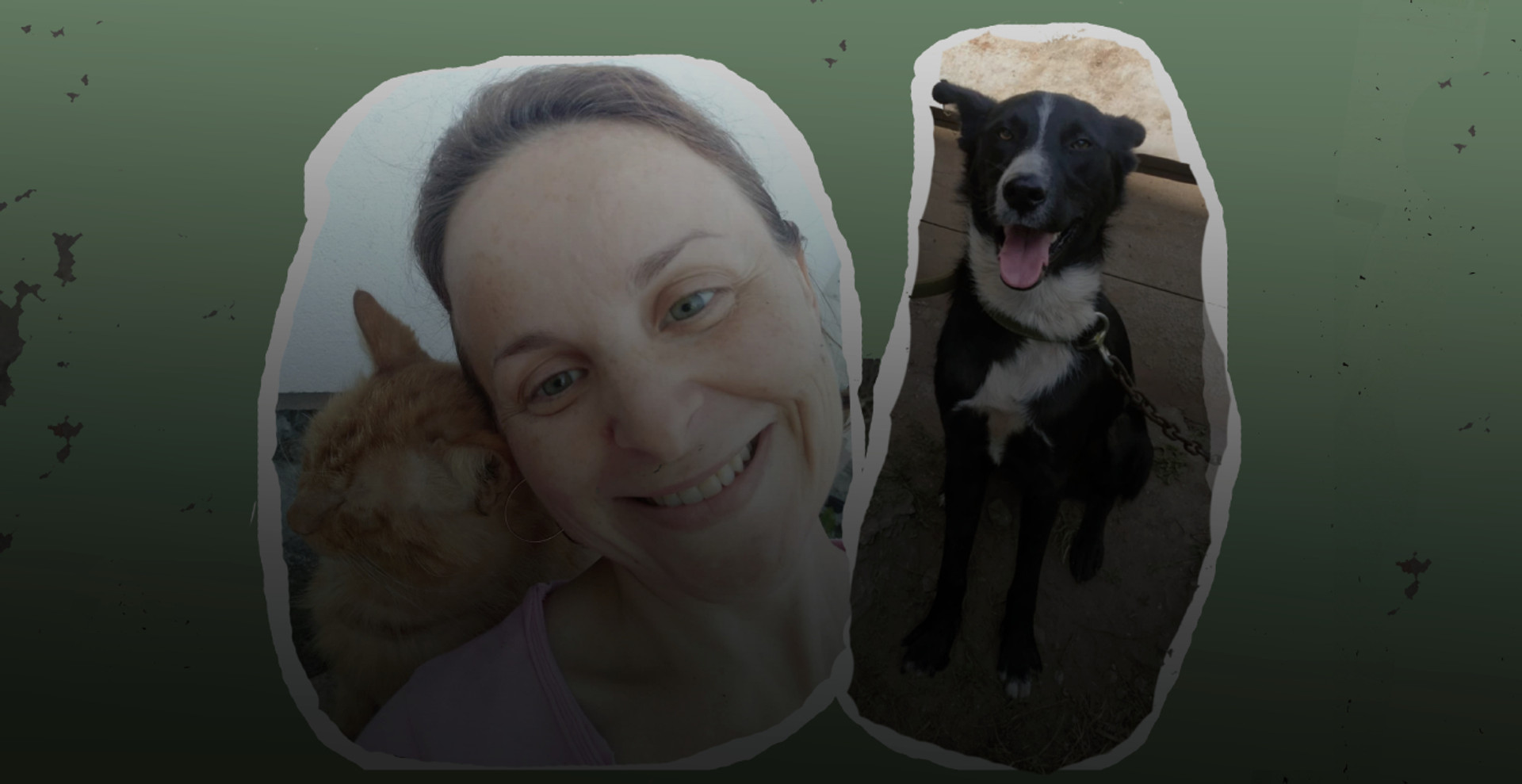 Втратила всі свої картини, але проїхала пів країни, щоб врятувати собаку та кота: історія херсонської майстрині