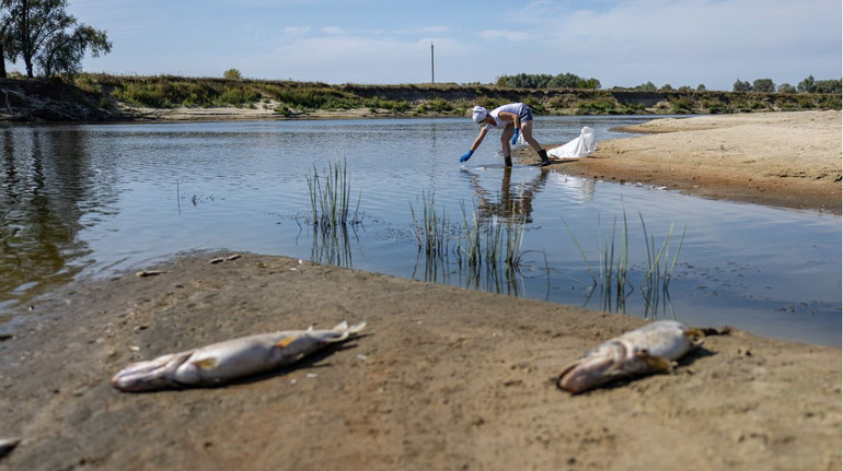 Чи погіршилася якість води у місцях водозаборів на Київщині? Дані від Міндовкілля