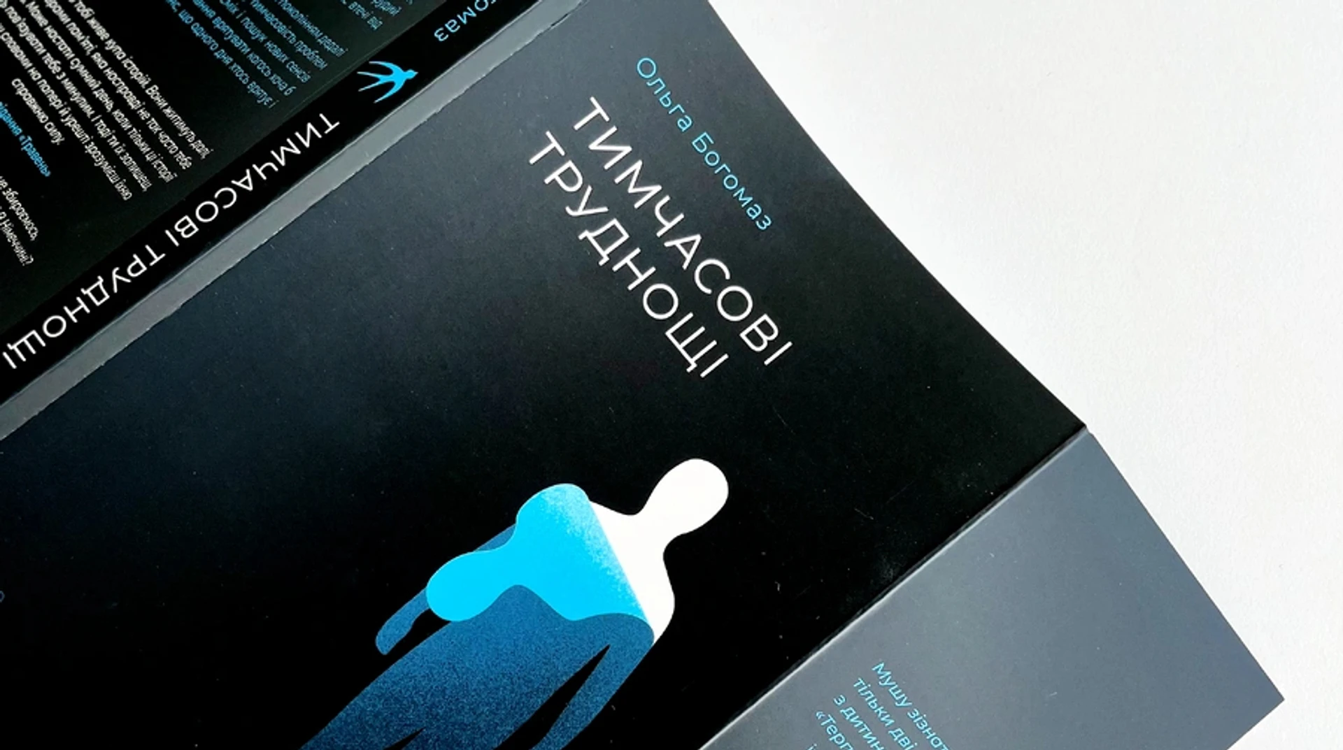 Терпи, терпець тебе шліфує: як читати Тимчасові труднощі Ольги Богомаз