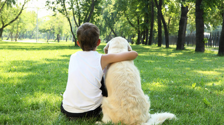Українці просять посилити кримінальну кару за знущання з тварин: петиція зібрала голоси