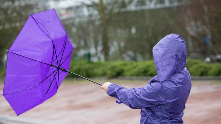Що спричинило сильні пориви вітру в Україні і коли вони вщухнуть: пояснення метеорологів