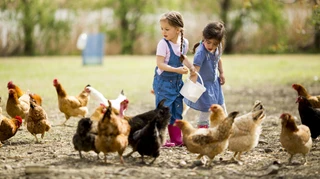 Контакт зі свійськими тваринами знижує ризик розвитку алергій у дітей? Вчені пояснили, як саме