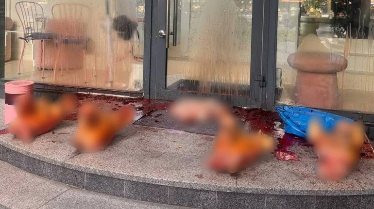 У Києві біля салону G×Bar залишили відрізані голови та нутрощі свиней: бренд заявив про погрози й тиск