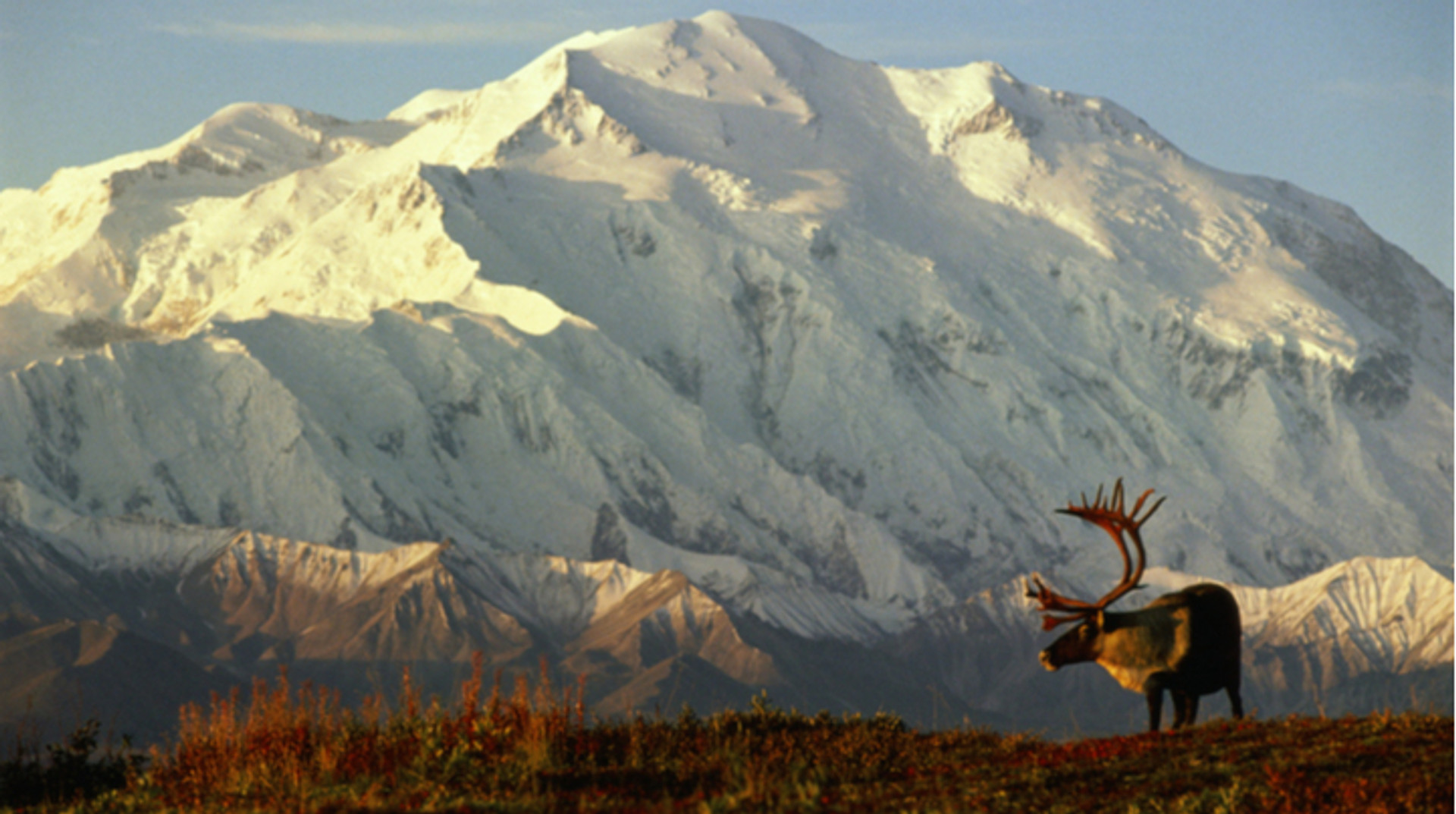 Острів щурів, місто під одним дахом і собака Балто. 10 фактів про Аляску, яких ви могли не знати