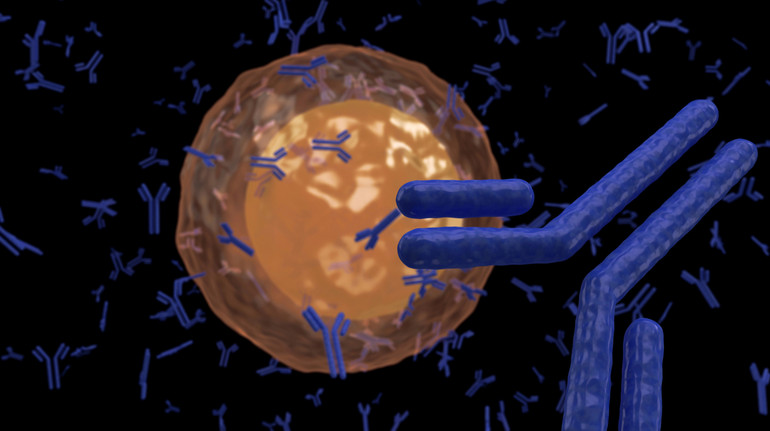 Вчені знайшли новий спосіб посилювати імунну систему для боротьби з раком