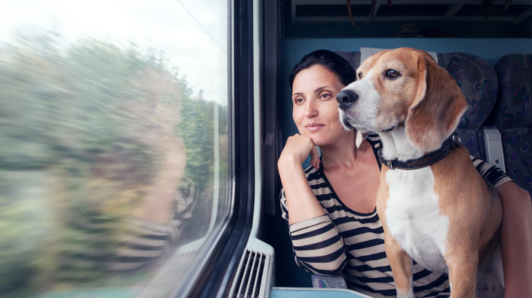 В Інтерсіті можуть дозволити проїзд з великими собаками: УЗ ініціювала зміни  щодо перевезення тварин