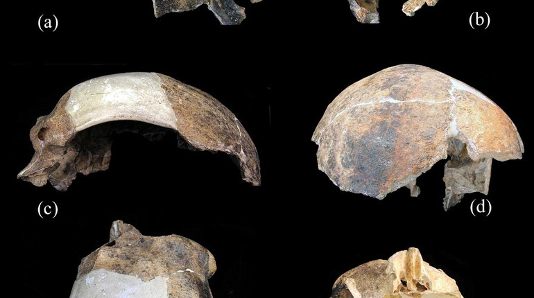 In China found a skull that does not belong to any of the types of people