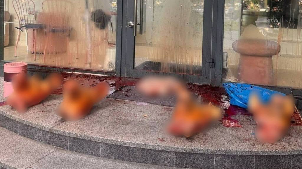 У Києві біля салону краси G×Bar залишили відрізані голови та нутрощі свиней: бренд заявив про погрози й тиск