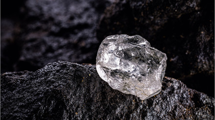 Життя змінилося назавжди: в Індії чоловік знайшов алмаз вартістю майже 100 тисяч доларів