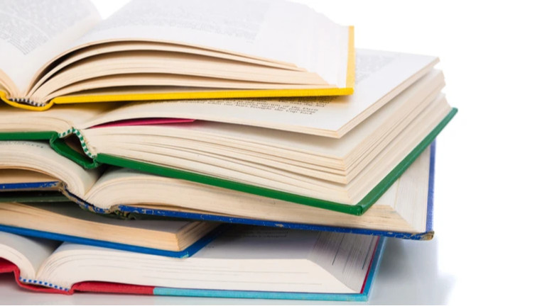 Українські школи досі не отримали всіх підручників: у Раді визнали роботу МОН незадовільною