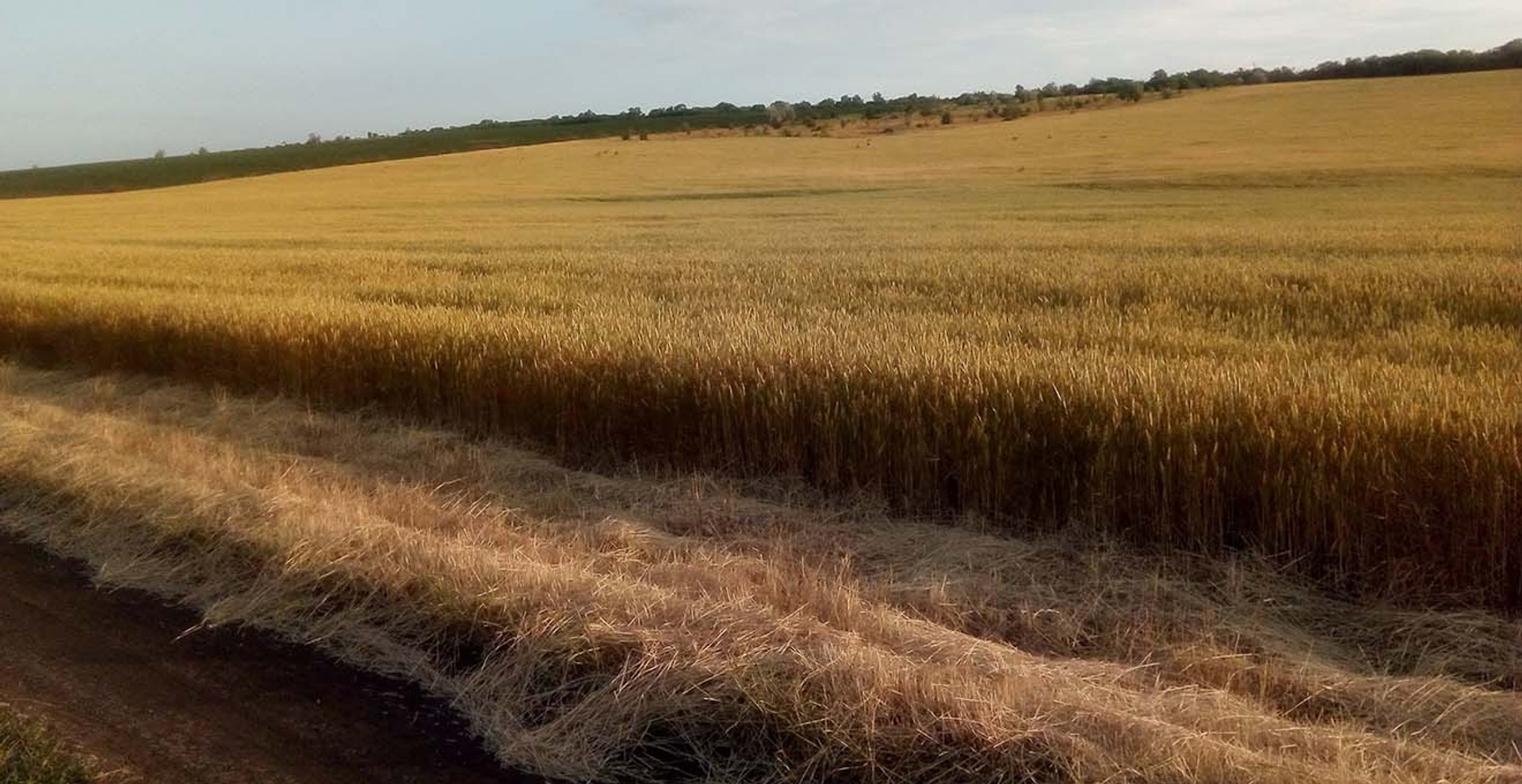 В Україні планують влаштувати дерибан природи під виглядом децентралізації