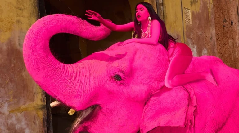 В Індії померла 65-річна слониха, яку фарбували у рожевий для російської фотографки