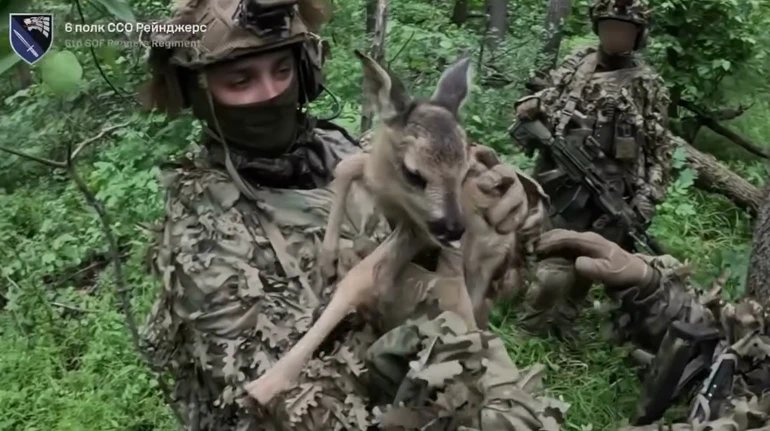 Місія Бембі: бійці ССО врятували оленятко та взяли в полон трьох окупантів
