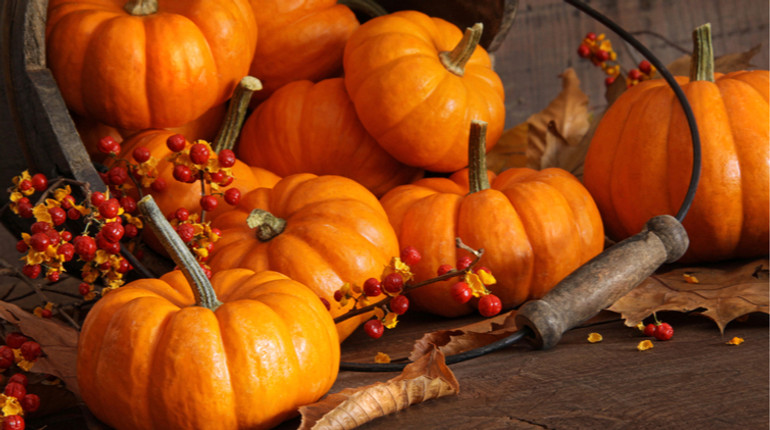 5 рецептів незвичних та смачних напоїв з гарбузом