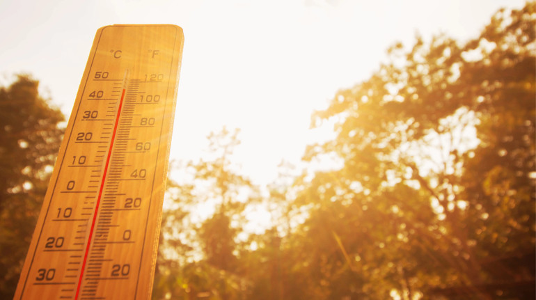 До 2050 року кількість людей, які житимуть в умовах екстремальної спеки, зросте вдвічі – вчені