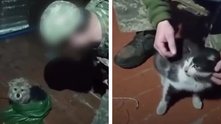 Військові дроном евакуювали з позицій кота та собаку: тварини пролетіли 12 кілометрів