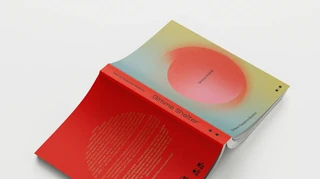 Київська молодість. Рецензія на Gimme Shelter Ольги Сідоріної-Вілкінс