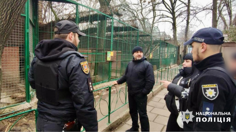 В Одесі леопард напав на співробітника зоопарку: директор пояснив причину інциденту