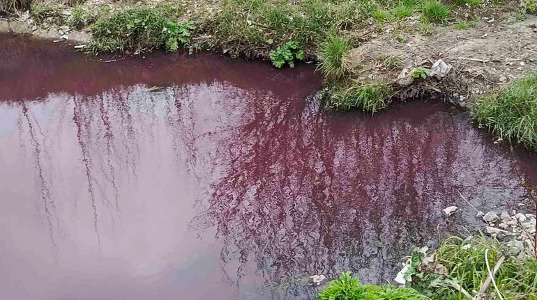 Може отруювати питну воду: на Київщині люди б'ють на сполох через критичне забруднення притоки Дніпра