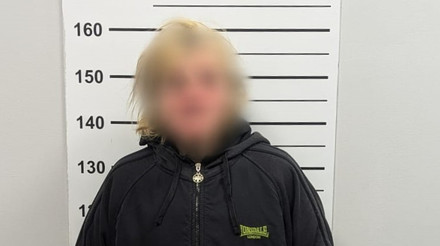 Суд постановив примусово госпіталізувати до психлікарні жінку, яка пошкодила 39 могил у Львові
