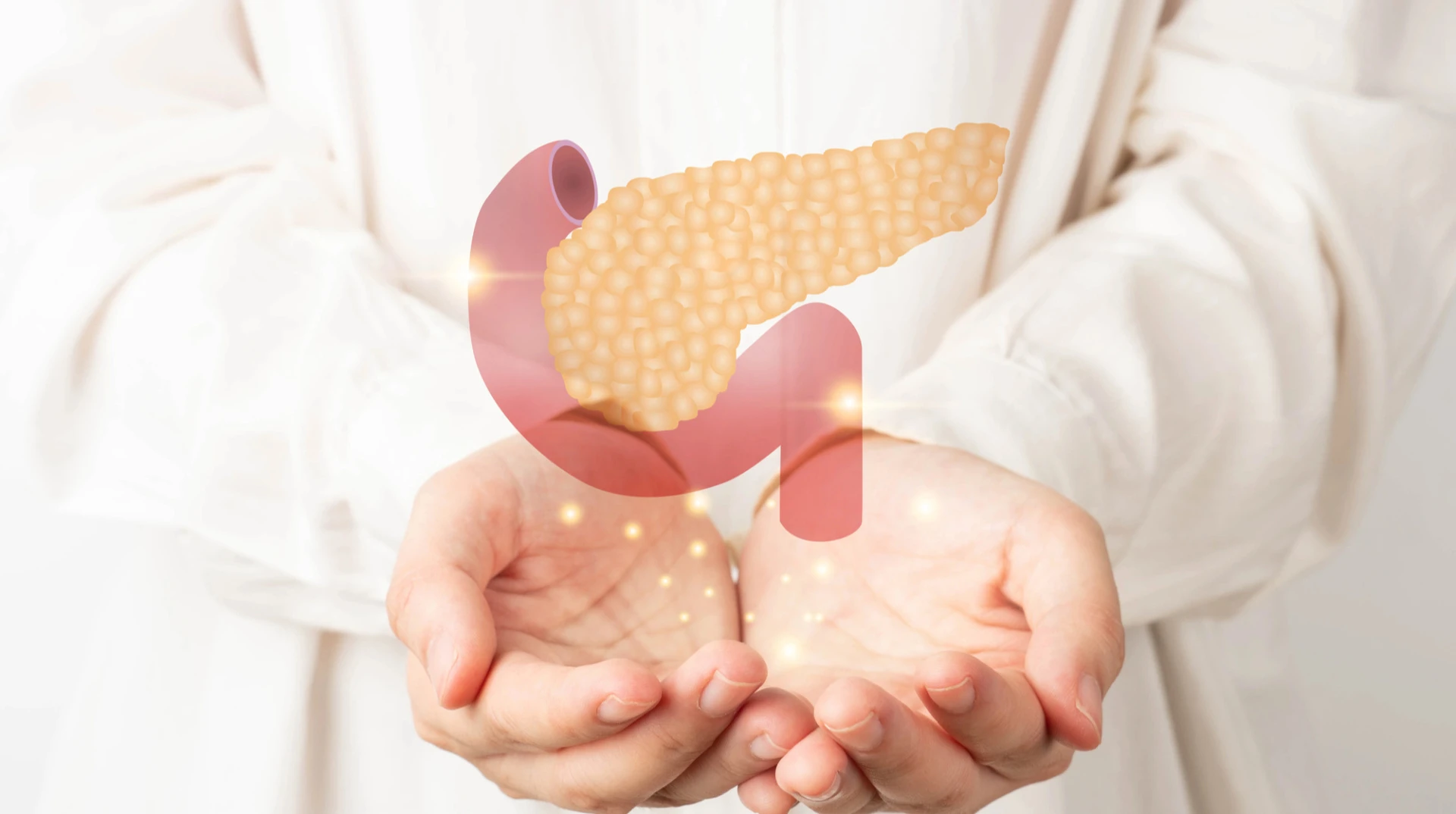 Виділяє ферменти та регулює цукор крові, але без неї можна жити: цікаві факти про підшлункову залозу