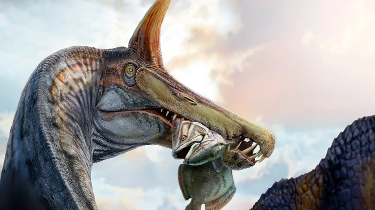 Мордою нагадував сучасного крокодила: в Нігерії вчені знайшли скам’янілості нового виду динозавра