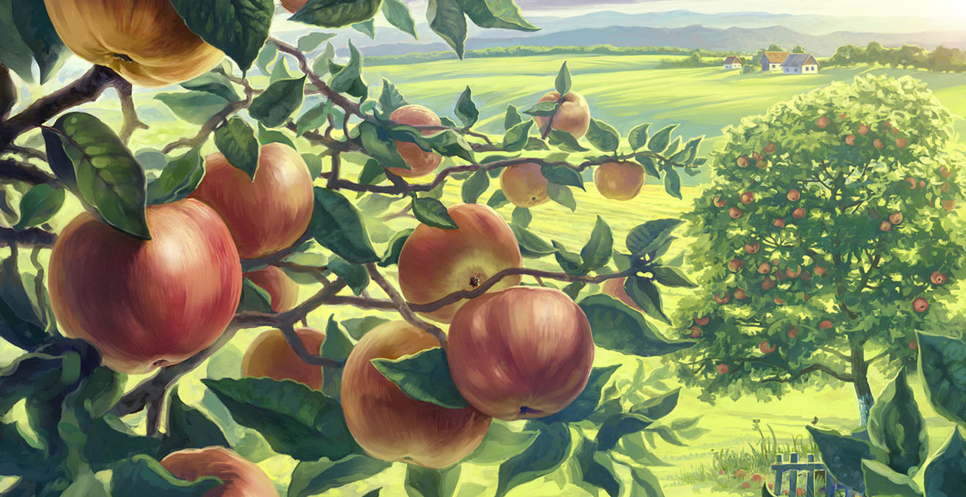 Яблуко: чим воно корисне і як його краще споживати + прості та смачні рецепти