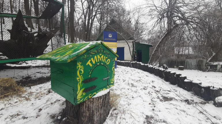 Коли в Україну завітає весна? Бабак Тимко дав традиційний прогноз