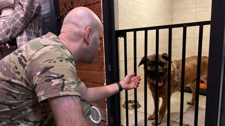 Історія пса Міші з метро: після скарг у соцмережах поліція перевірила умови утримання собаки