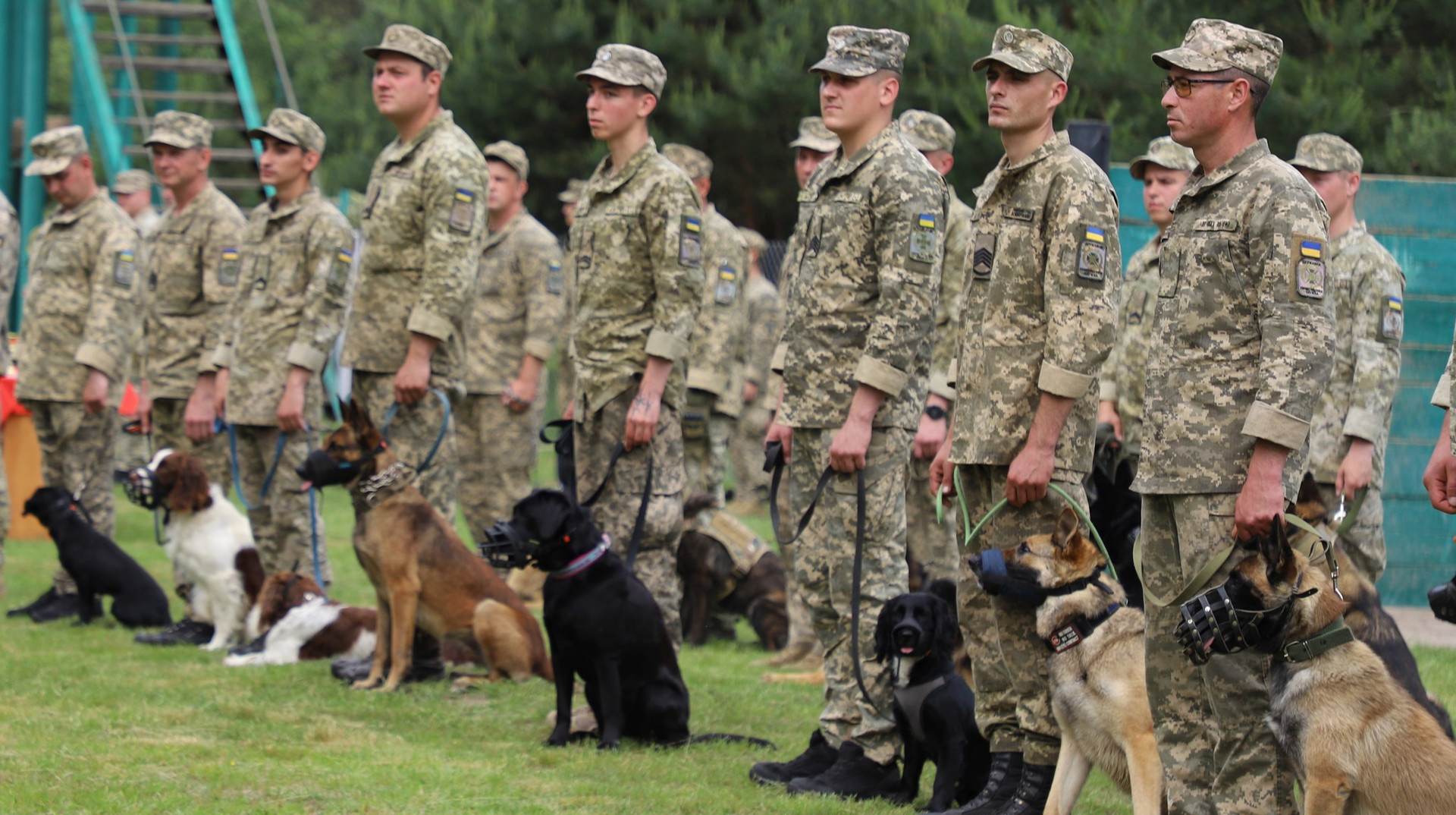 Коли в Україні з’явиться День кінолога?