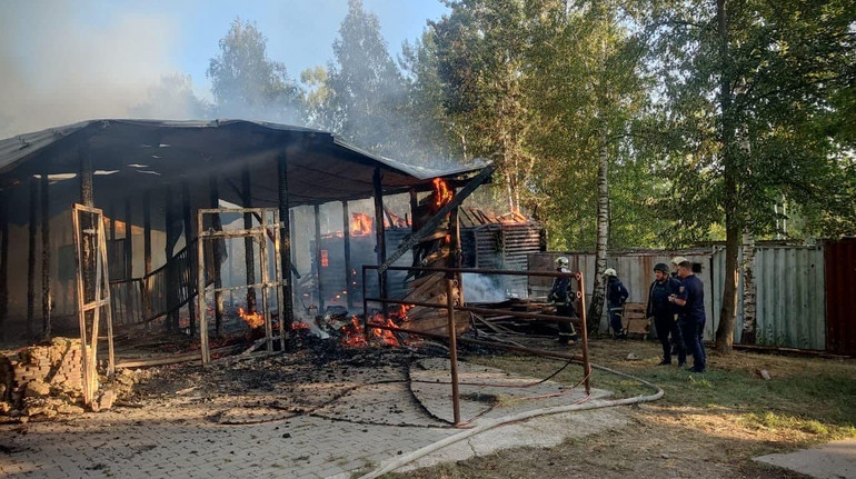 Внаслідок удару росіян по Харківщині з екопарку зник кенгуру: його пошуки тривають