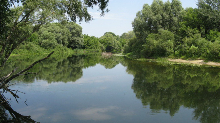 На Сумщині зафіксували повторне забруднення річки Сейм: причину з'ясовують